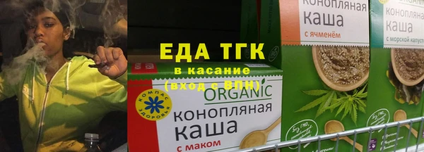 амф Тайга