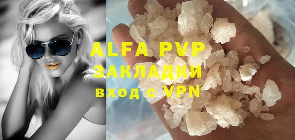 амф Тайга