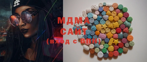 амф Тайга