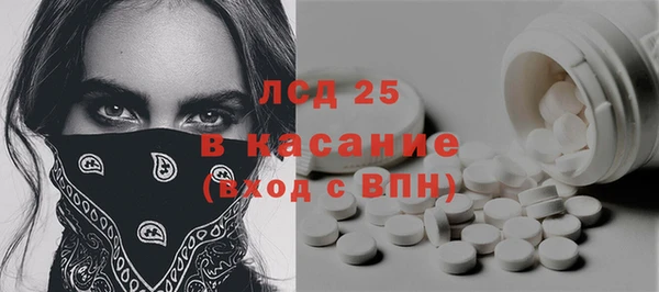 амф Тайга