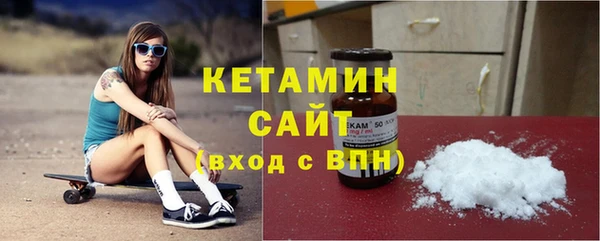 амф Тайга