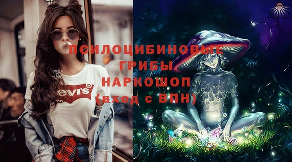 амф Тайга