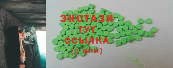амф Тайга