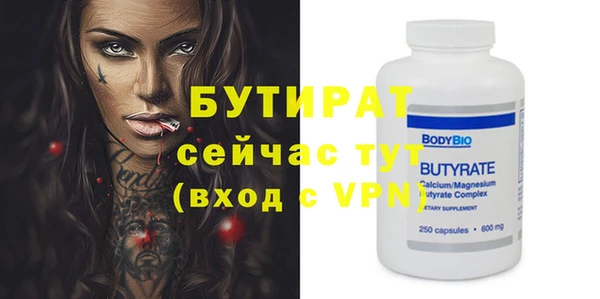 амф Тайга