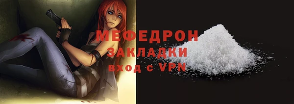 амф Тайга