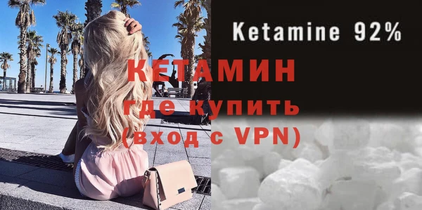 амф Тайга