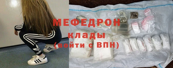 амф Тайга
