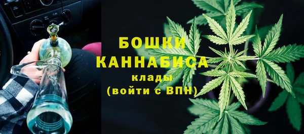 PSILOCYBIN Татарск