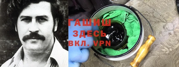 амф Тайга