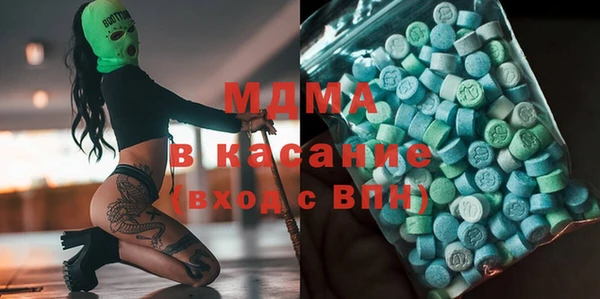 амф Тайга