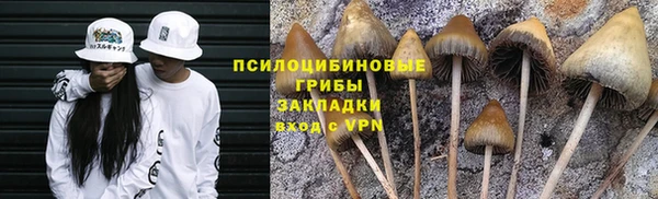 ALPHA PVP Тавда