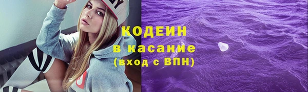 амф Тайга