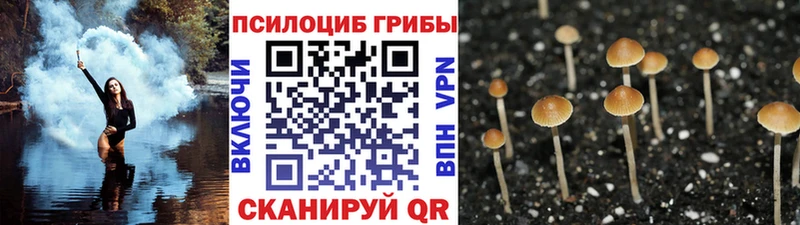 Галлюциногенные грибы Magic Shrooms Тайга