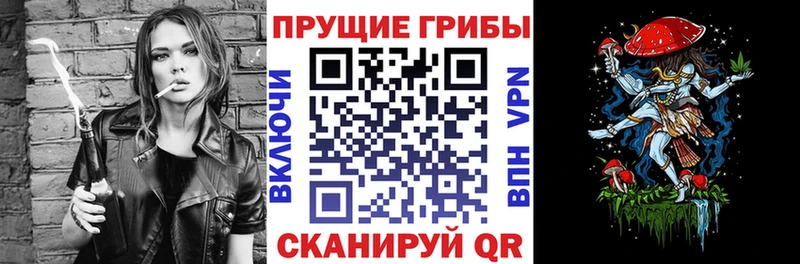 Псилоцибиновые грибы прущие грибы  Тайга 